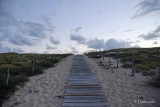 Passerelle vers ici