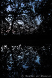 Twilight reflection
