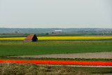 Texel