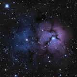 M20 Crop