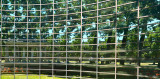 CURVED WALL PANO SD14 w 50mm size25.jpg
