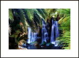 Tropical waterfall with palm trees