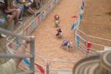 5d_IMG_0513.jpg