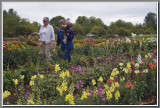 Collecting flowers