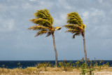 Bonaire 2012-30
