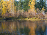 Little River Pond fall colours 2a.jpg