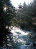 Little Qualicum River 1a.jpg