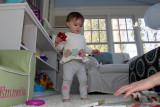 Birth to 12 Months