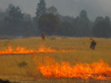 Strip Firing Near Escudillo Flats