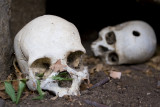 Ancient Baobab Burial