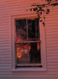 goodbye-house-5-small.jpg