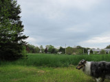 RH-neighbors-houses.jpg