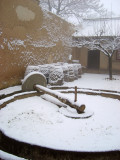 Snow Scene