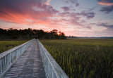 Bridge to Magnolia Island 2