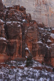 View of Big Bend