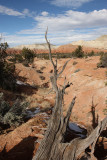 Shakespeare Arch/Sentinel Trail