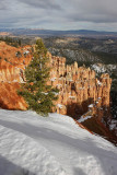 Black Birch Canyon