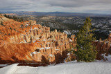 Black Birch Canyon