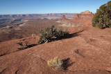 View from Orange Cliffs Overlook