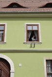 Castle district