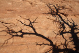 Near Mesa Arch