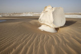 White Desert