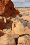 Rainbow Vista area