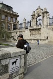 Statue at the Royal Palace