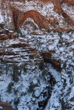 Canyon Overlook Trail