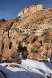 Canyon Overlook