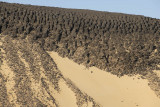 Black Desert