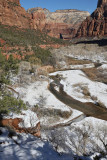 View from Emerald Pools Trails