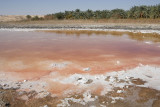 Sulphurous lake near Bahariyya