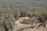 Bahariyya Oasis