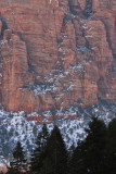 Emerald Pool Trail