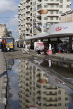 Alexandria, after the rain