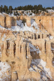 View from Bryce Point