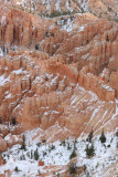 View from Bryce Point