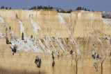 View from Bryce Point