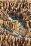 View from Bryce Point