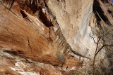 Lower Emerald Pool Trail