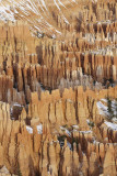 View from Bryce Point