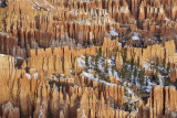 View from Bryce Point