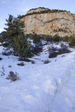 By the side of Zion Mount Carmel Hwy