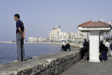 Alexandria, along the shore