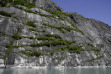 Tracy Arm Fjord, streaks of vegetation