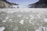 Tracy Arm Fjord, more and more ice