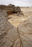 The first day in the desert