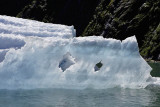 Tracy Arm Fjord, iceberg