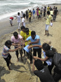 Colombo, along Galle Face Green